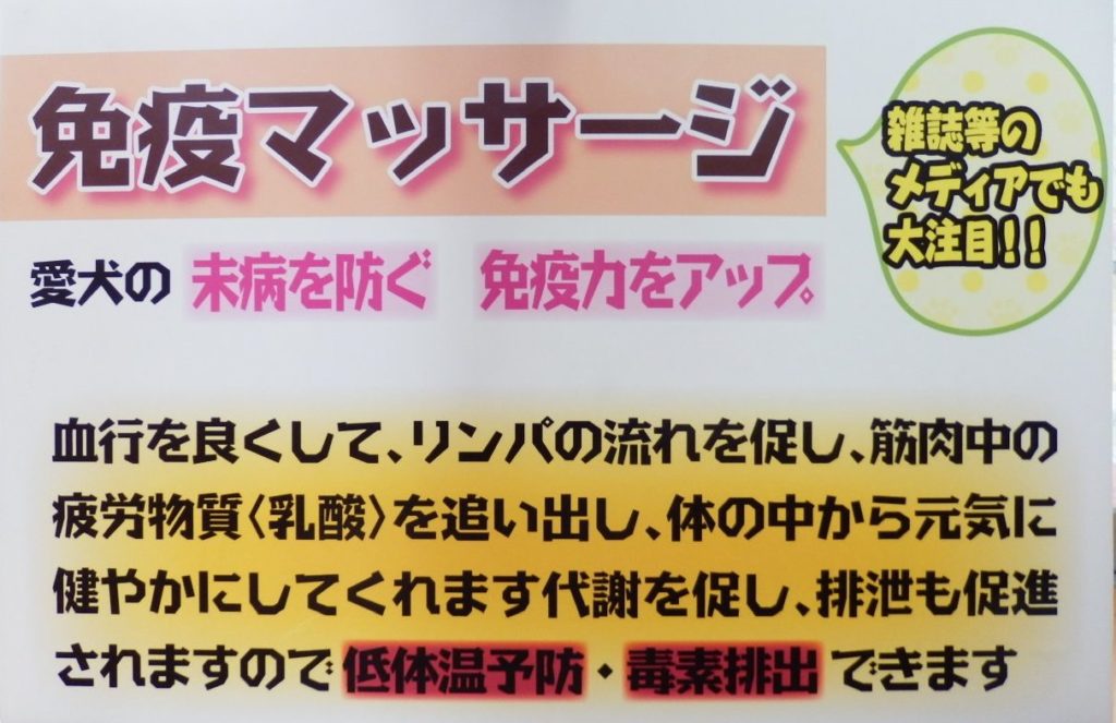 人気のペットケア免疫マッサージ 日本ペットセラピー協会 人気のペットケア免疫マッサージ 日本ペットセラピー協会